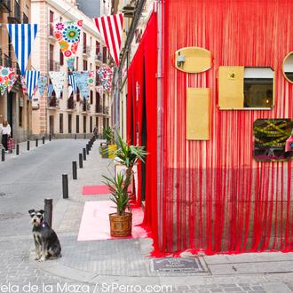 SrPerro en DecorAccion 2012: un paseo canino por el Barrio …