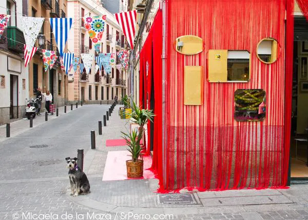 SrPerro en DecorAccion 2012: un paseo canino por el Barrio de las Letras