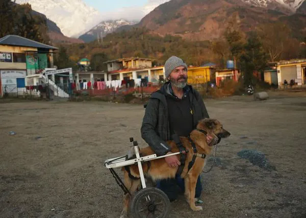 “Tails of the Himalayas…of Dogs & Devotees”, un documental sobre personas que cuidan de perros de la calle en Dharamsala, India