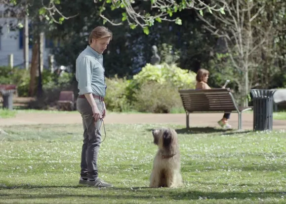 Los problemillas de no contar con un educador canino serio y profesional