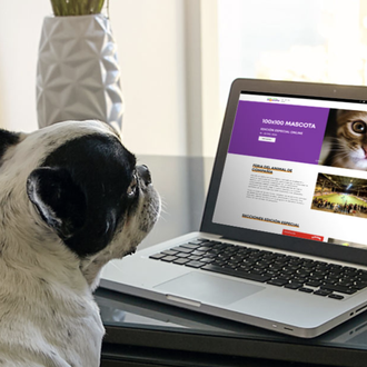 100x100 Mascota en versión virtual: actividades, concursos y gran énfasis …