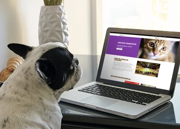 100x100 Mascota en versión virtual: actividades, concursos y gran énfasis en la adopción de animales