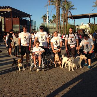 Mario, y muchos otros canes, disfrutando en la Can-rrera popular …