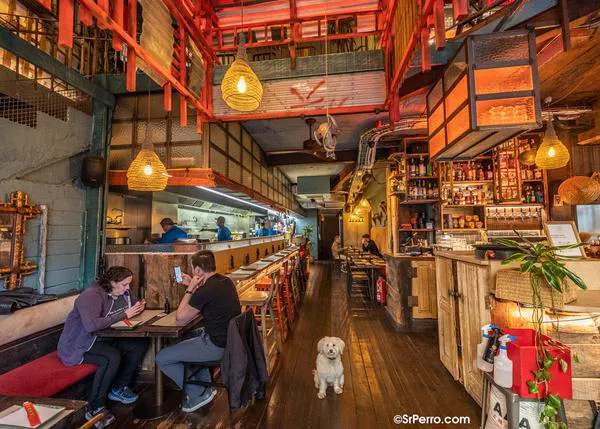 15 Bares y restaurantes (con encanto) en Barcelona que además son dog friendly, selección SrPerro 2022