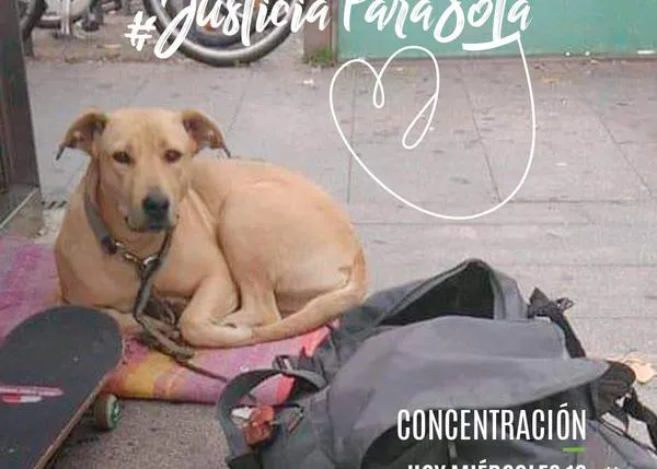 Convocan concentraciones para exigir que se investigue la muerte a tiros de una perra a manos de la Guardia Urbana
