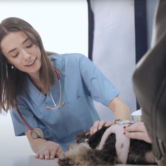 “Es tu momento”, un homenaje al bienestar veterinario de Elanco …