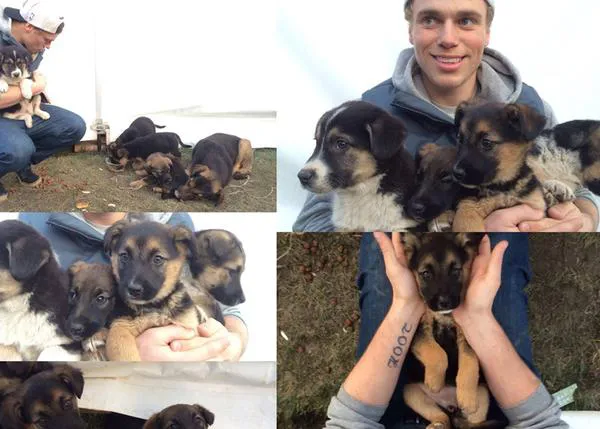 El medallista olímpico y la familia de canes callejeros de Sochi