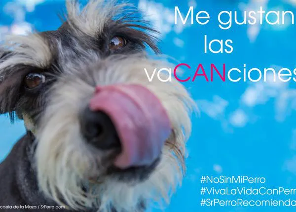 Los perros son parte de la familia, también en vacaciones: ¡gran campaña de TV!