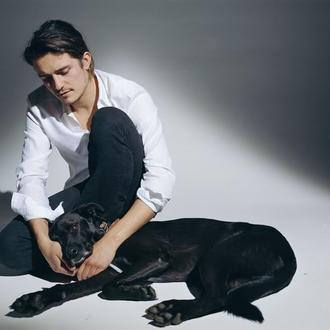 Orlando Bloom rescata a una perra herida de las calles …