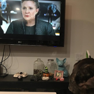 Gary, el perro de Carrie Fisher, también ha visto el …
