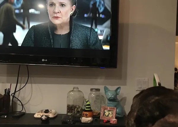 Gary, el perro de Carrie Fisher, también ha visto el trailer de “The Last Jedi”: #garymisseshismom