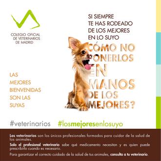 lobo Optimista Culpa Blog SrPerro: noticias sobre anuncios con perros