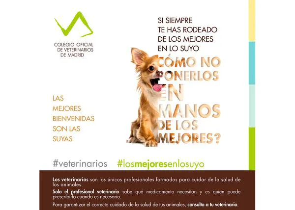 #LosMejoresEnLoSuyo: una campaña pone en valor la profesionalidad de los veterinarios