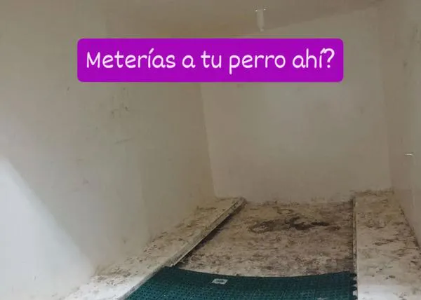 Una pasajera de Grimaldi Lines España denuncia la suciedad y dejadez de las instalaciones para perros