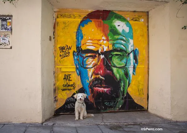 Los humanos perrunos de Barcelona se movilizan para pedir el uso compartido de las áreas verdes