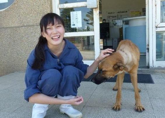 Un suicidio que conmovió a un país: la veterinaria que no pudo soportar tener que sacrificar a cientos de perros