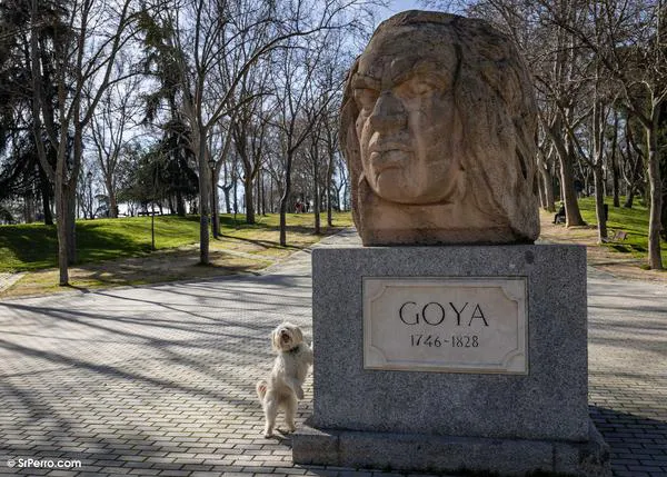 Películas con perros (que no mueren) perfectas para celebrar el día de los Goya en compañía de tu peludo
