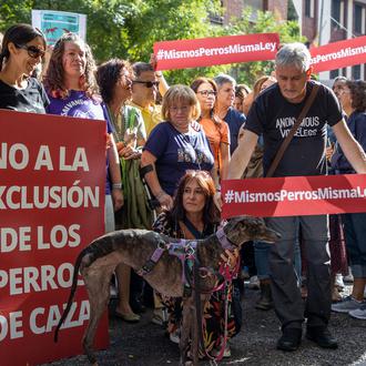 Concentraciones en 26 ciudades para exigir que los perros de …