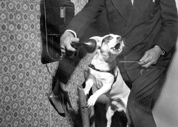 Humanos y perros en blanco y negro: joyas fotográficas de la Librería de Florida