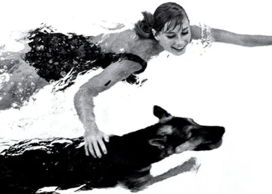 Moda y perros, las icónicas fotografías de Eugène Vernier 