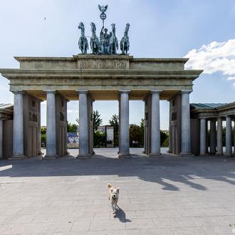 ¿Planeando viajes con tu perro por Europa? ¿Viajes en coche …