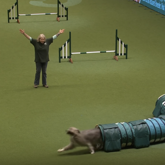 Kratu vuelve a arrasar (a su manera) en el Agility …