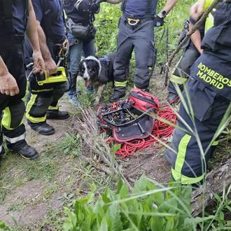 Samur, Bomberos y Policía de Madrid acuden a rescatar a …