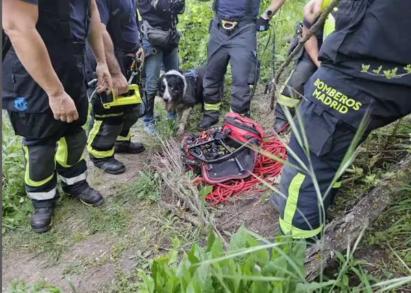 Samur, Bomberos y Policía de Madrid acuden a rescatar a una mujer que intentaba rescatar a su perro en el Manzanares