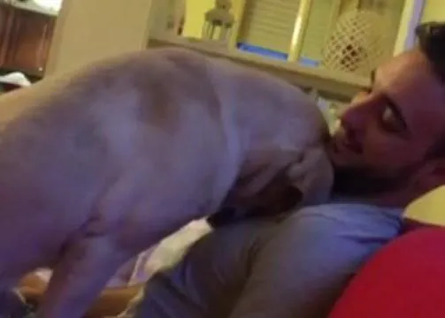Ettore, el perro que pide perdón con mimos y abrazos, triunfa en la red