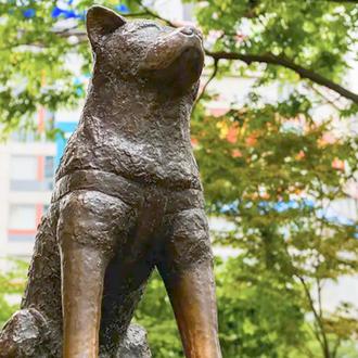 Día de Hachikō, el Perro Fiel: cada 8 de abril …