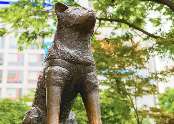 Día de Hachikō, el Perro Fiel: cada 8 de abril se recuerda en Japón al perrete que esperó casi 10 años a su humano, fallecido