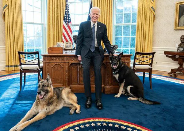 Los perros de los Biden, Major y Champ, no han sido desterrados de la Casa Blanca por un mordisco