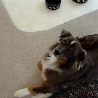 Para los que prefieren tomarse las cañas en casa... el …