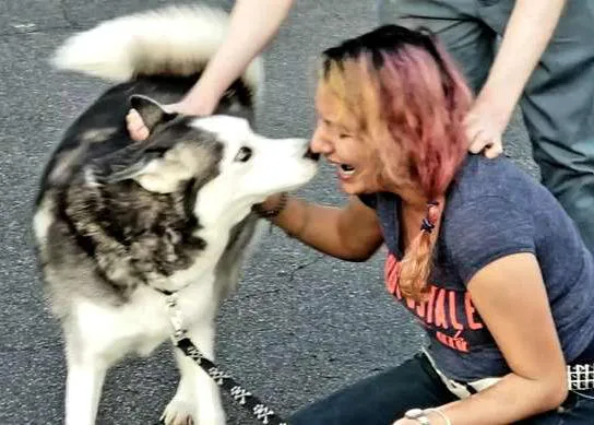 Una mujer que se recupera de un cáncer logra reunirse con su perro, robado dos años atrás, cuando estaba enferma