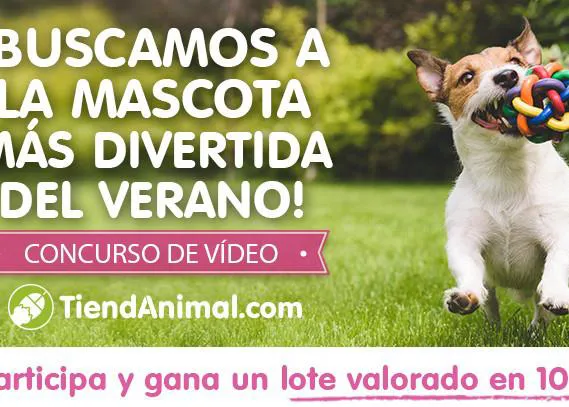 Verano de vídeos divertidos, verano de premios en Tiendanimal