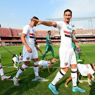 Futbolistas y perrunos, ¡buenísima la iniciativa del São Paulo FC …