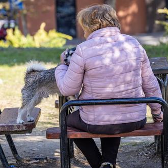 El otoño será más cálido de lo normal por lo …