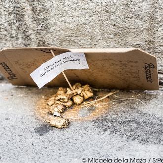 La Brigada Anti-Cacas ataca de nuevo, ¿cómo podemos ayudar a …