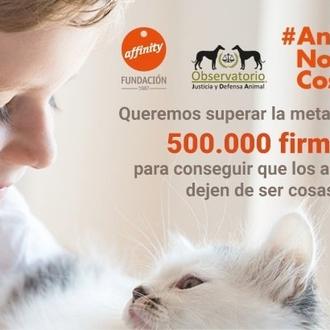 ¿Crees que los perros y los gatos no son cosas …