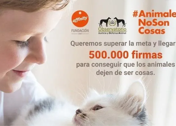 ¿Crees que los perros y los gatos no son cosas y la ley no debe tratarlos como tales? ¡Firma para cambiar el código civil!