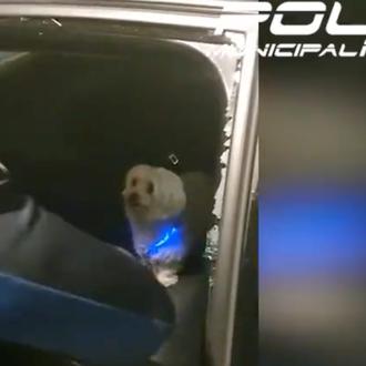 La Policía de Madrid rompe la ventanilla de un coche …