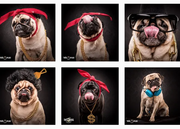 Los Carlinos más malotes: retratos de Pugs en versión artistas del Hip Hop