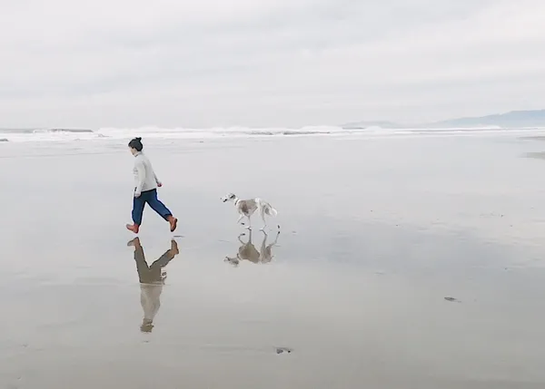 Carta de amor a un perro viejito: el galgo Enzo y su vida feliz en familia