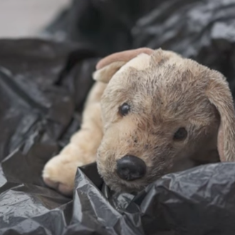 No son peluches, no son juguetes: son perros