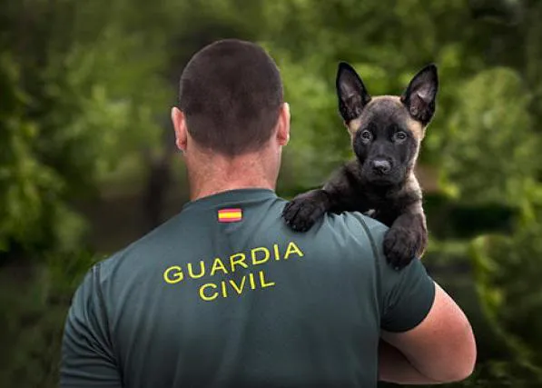 La foto de un cachorro en brazos de un Guardia Civil, ganadora del concurso Europol