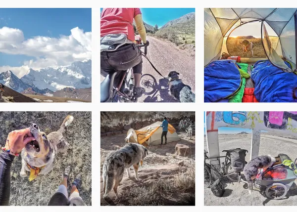 Aventureros y perrunos: historias de viajeros que inspiran cambios de vida 