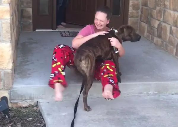 Unos padres adoptan por sorpresa al perro al que su hija había cuidado durante semanas en una protectora