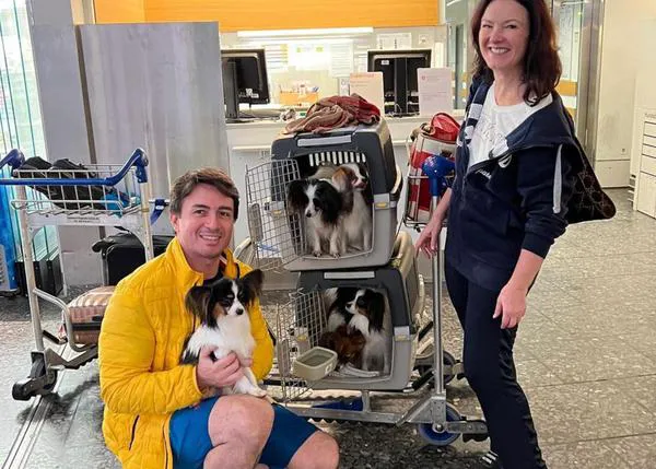 El ataque de ansiedad de un hombre al que le perdieron sus 4 perros en el aeropuerto se hace viral