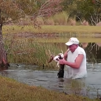 Un cachorrote de Cavalier King Charles rescatado por su dueño …