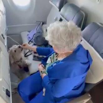 Italia hace historia con el primer vuelo en el que …